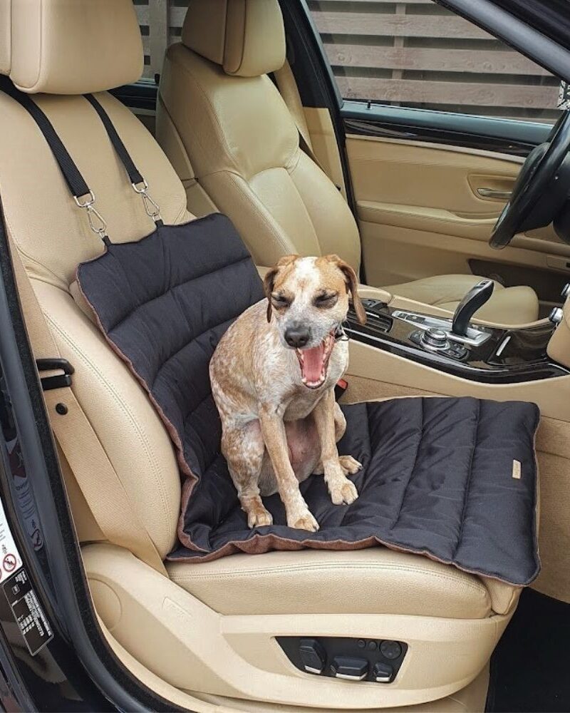 Car Seat Cover for small dogs / Grey