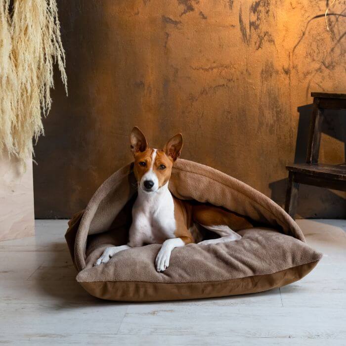 Large dog pillow - snuggle sack, Ginger