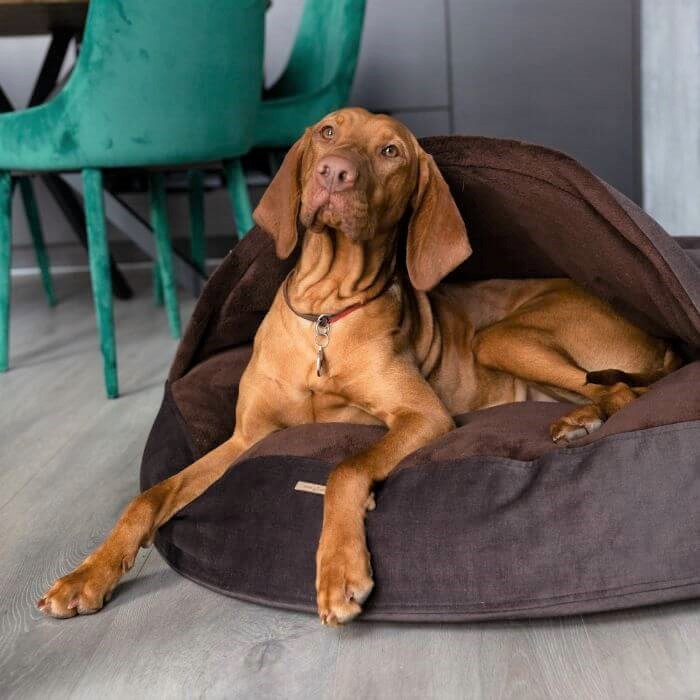 Luxury large calming dog cave bed, Brown - brown