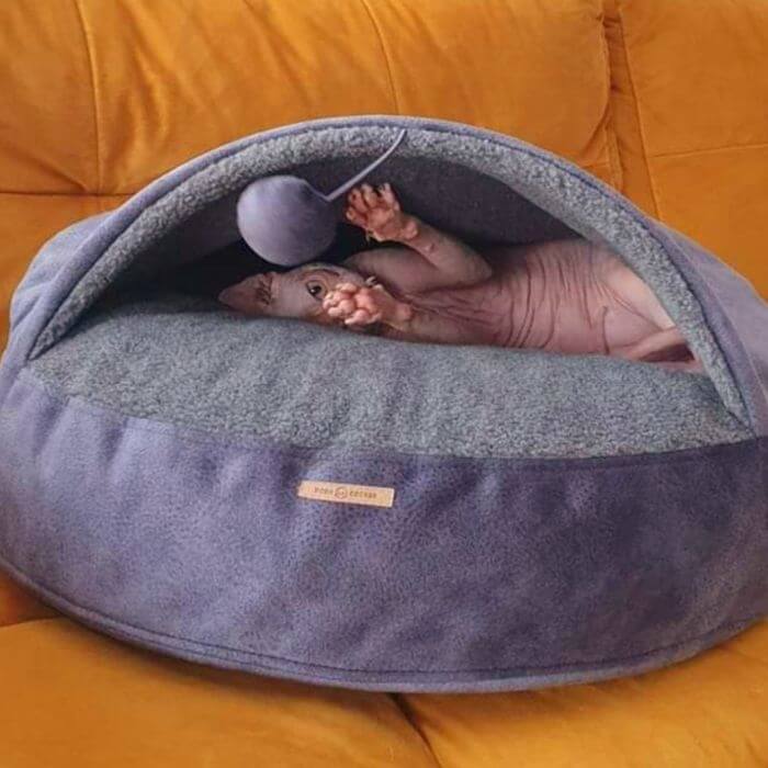 Cat Cave Bed With Anti-Allergic Merino Wool 4 Colors