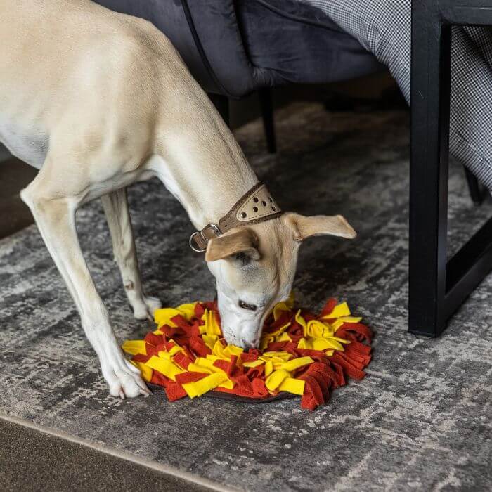 Sniffing Mat For Dogs 2 colors