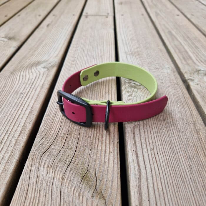 Collar for dogs Made of Biotane Two-color Avocado