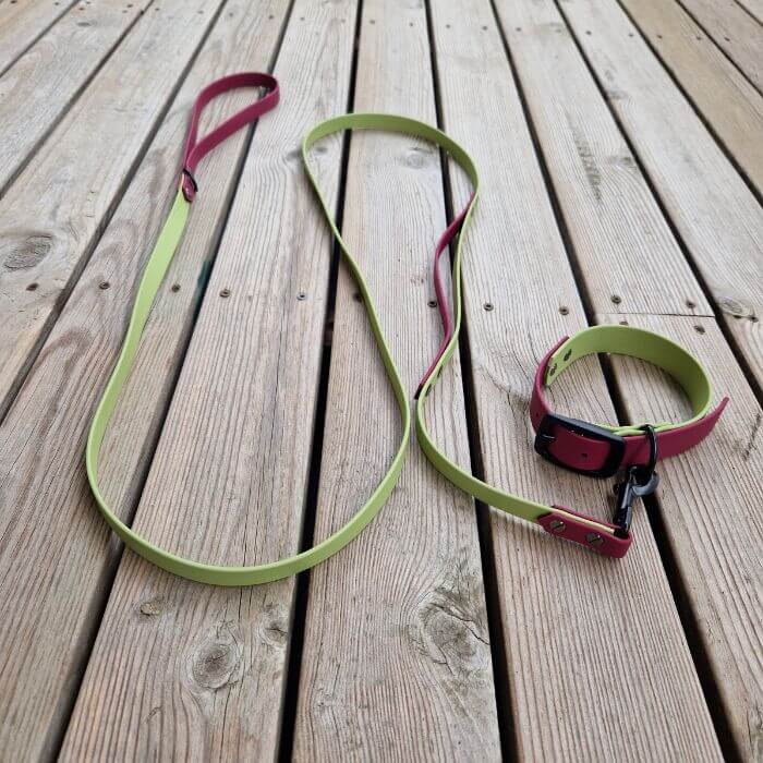 Collar for dogs Made of Biotane Two-color Avocado